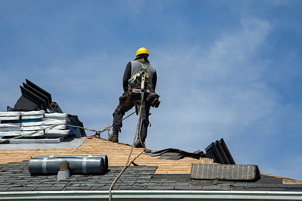 Professional Roofing technician working in Albion, NE